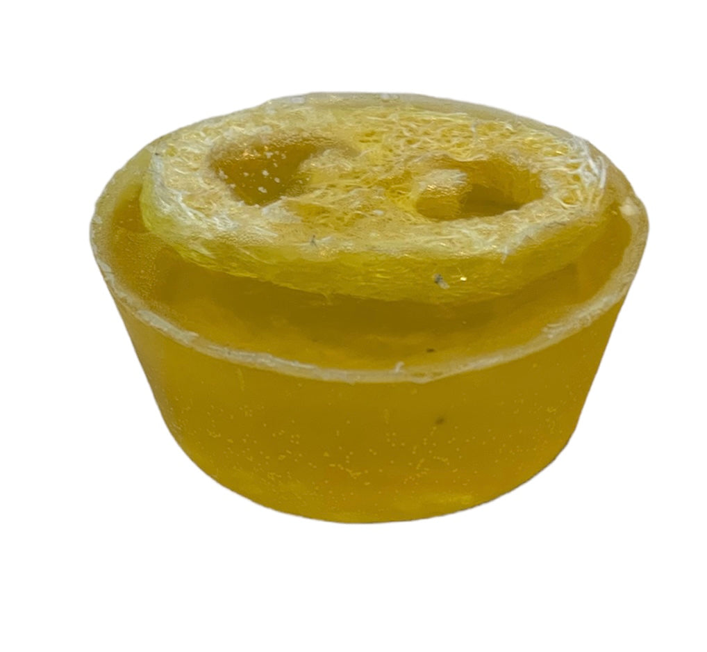 Tropical Twist Scrub